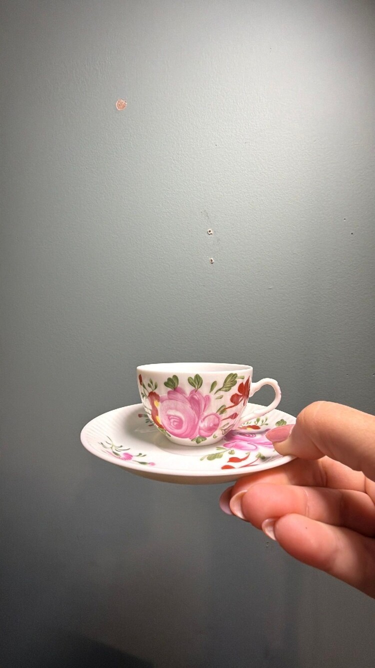 145 mid-20th century Arzberg porcelain teacup and saucer in the Ostfriesische Ro